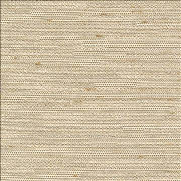 Santorini Bone by Kasmir Fabric 5013 100% Polyester INDIA 30,000 Wyzenbeek Double Rubs H: N/A, V: N/A 54 - 55 - Fabric Carolina - Kasmir