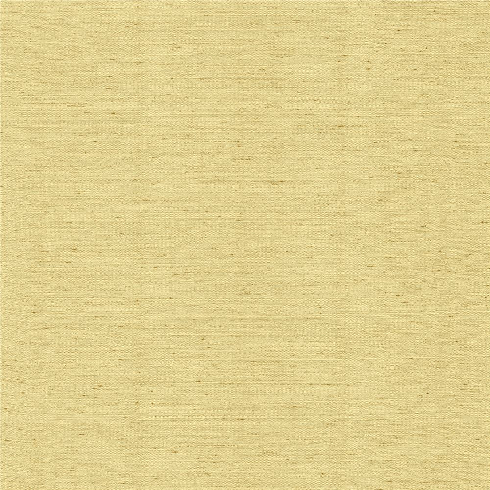 Santorini Bone by Kasmir Fabric 5013 100% Polyester
 INDIA </p><p>Repeat: Horizontal: N/A and Vertical: N/A 54 - Fabric Carolina -