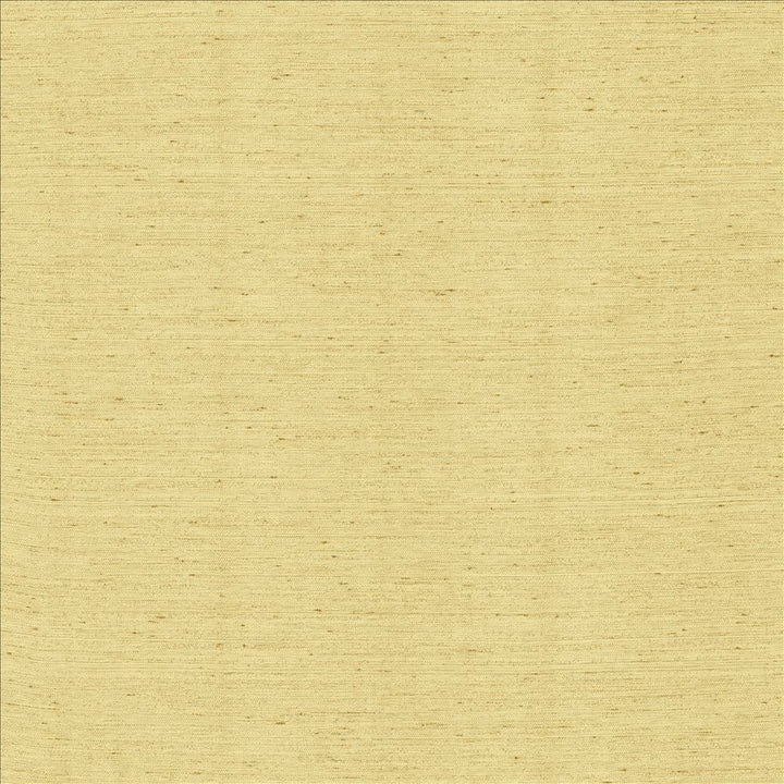 Santorini Bone by Kasmir Fabric 5150 100% Polyester
 INDIA </p><p>Repeat: Horizontal: N/A and Vertical: N/A 54 - Fabric Carolina -