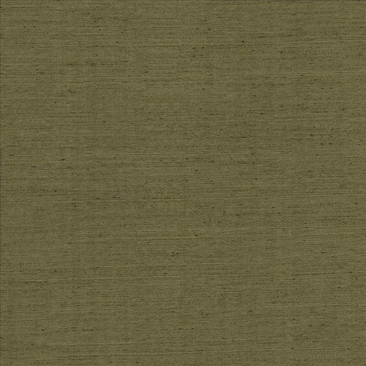 Santorini Cactus by Kasmir Fabric 5150 100% Polyester
 INDIA 20,000 Wyzenbeek Double Rubs </p><p>Repeat: Horizontal: N/A and Vertical: N/A 54 - Fabric Carolina -