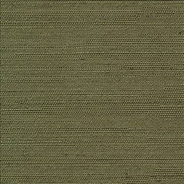 Santorini Cactus by Kasmir Fabric 5013 100% Polyester INDIA 30,000 Wyzenbeek Double Rubs H: N/A, V: N/A 54 - 55 - Fabric Carolina - Kasmir