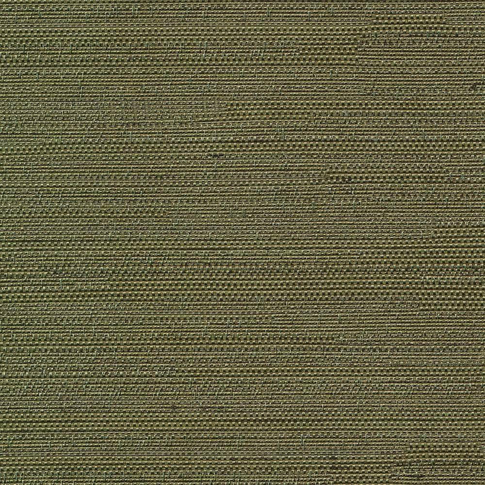 Santorini Cactus by Kasmir Fabric 5013 INDIA 30,000 Wyzenbeek Double Rubs H: N/A, V:N/A 54 - 55 - Fabric Carolina - Kasmir