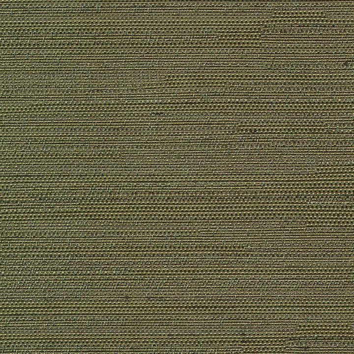 Santorini Cactus by Kasmir Fabric 5013 INDIA 30,000 Wyzenbeek Double Rubs H: N/A, V:N/A 54 - 55 - Fabric Carolina - Kasmir