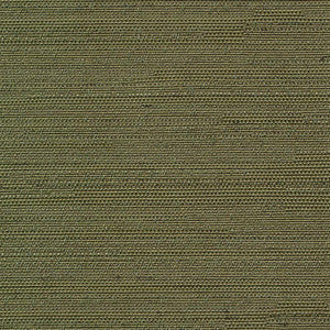 Santorini Cactus by Kasmir Fabric