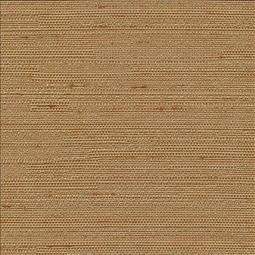 Santorini Camel by Kasmir Fabric 5013 100% Polyester INDIA 30,000 Wyzenbeek Double Rubs H: N/A, V: N/A 54 - 55 - Fabric Carolina - Kasmir
