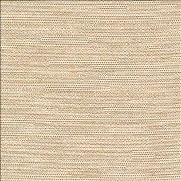 Santorini Champagne by Kasmir Fabric 5013 100% Polyester INDIA 30,000 Wyzenbeek Double Rubs H: N/A, V: N/A 54 - 55 - Fabric Carolina - Kasmir