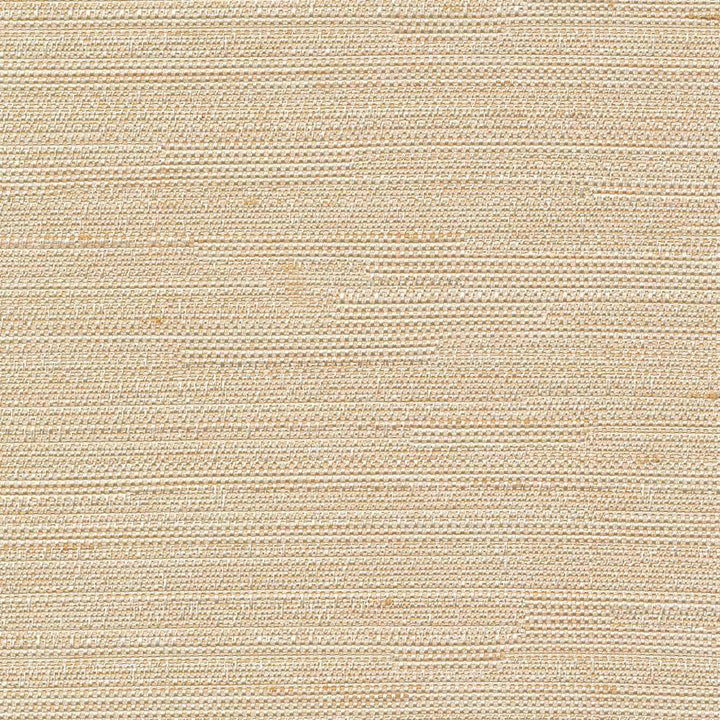 Santorini Champagne by Kasmir Fabric 5013 INDIA 30,000 Wyzenbeek Double Rubs H: N/A, V:N/A 54 - 55 - Fabric Carolina - Kasmir