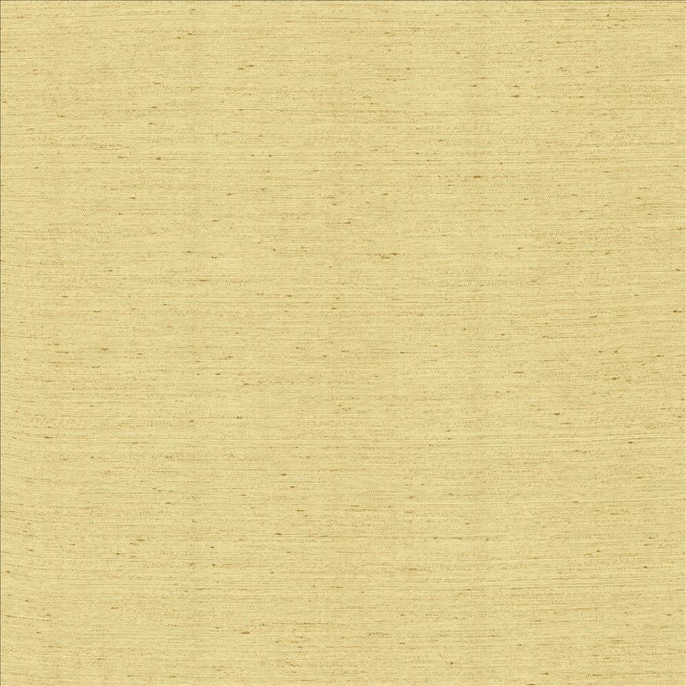 Santorini Champagne by Kasmir Fabric 5013 100% Polyester
 INDIA 20,000 Wyzenbeek Double Rubs Horizontal: N/A and Vertical: N/A 54 - Fabric Carolina -