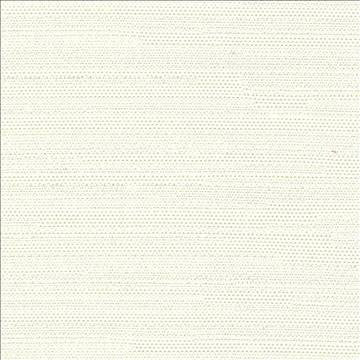Santorini Cream by Kasmir Fabric 5013 100% Polyester INDIA 30,000 Wyzenbeek Double Rubs H: N/A, V: N/A 54 - 55 - Fabric Carolina - Kasmir
