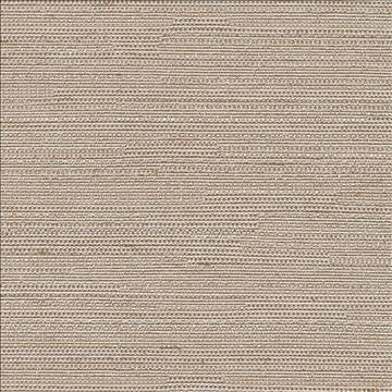 Santorini Fog by Kasmir Fabric 5013 100% Polyester INDIA 30,000 Wyzenbeek Double Rubs H: N/A, V: N/A 54 - 55 - Fabric Carolina - Kasmir