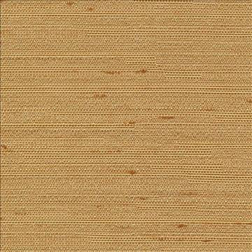 Santorini Gold Dust by Kasmir Fabric 5013 100% Polyester INDIA 30,000 Wyzenbeek Double Rubs H: N/A, V: N/A 54 - 55 - Fabric Carolina - Kasmir