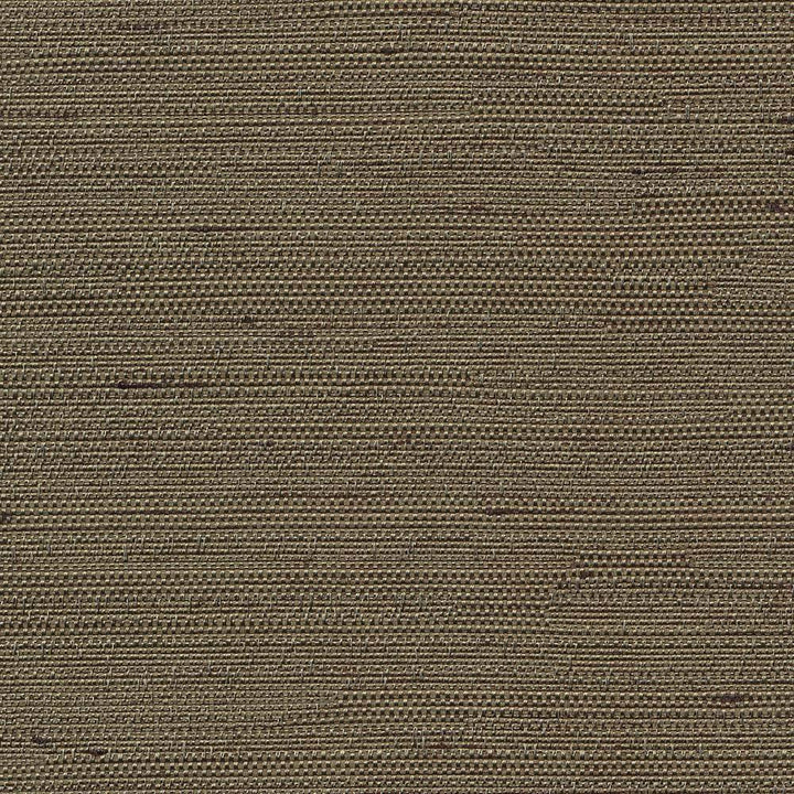 Santorini Greystone by Kasmir Fabric 5013 INDIA 30,000 Wyzenbeek Double Rubs H: N/A, V:N/A 54 - 55 - Fabric Carolina - Kasmir