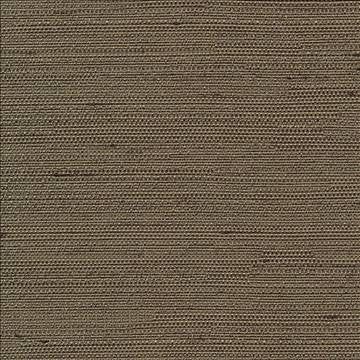 Santorini Greystone by Kasmir Fabric 5013 100% Polyester INDIA 30,000 Wyzenbeek Double Rubs H: N/A, V: N/A 54 - 55 - Fabric Carolina - Kasmir