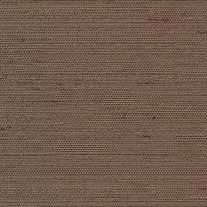 Santorini Latte by Kasmir Fabric 5013 INDIA 30,000 Wyzenbeek Double Rubs H: N/A, V:N/A 54 - 55 - Fabric Carolina - Kasmir