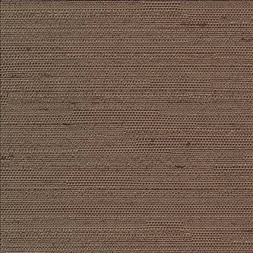 Santorini Latte by Kasmir Fabric 5013 100% Polyester INDIA 30,000 Wyzenbeek Double Rubs H: N/A, V: N/A 54 - 55 - Fabric Carolina - Kasmir