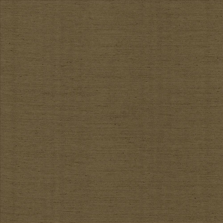 Santorini Latte by Kasmir Fabric 5150 100% Polyester
 INDIA </p><p>Repeat: Horizontal: N/A and Vertical: N/A 54 - Fabric Carolina -