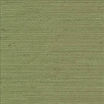 Santorini Leaf by Kasmir Fabric 5013 100% Polyester INDIA 30,000 Wyzenbeek Double Rubs H: N/A, V: N/A 54 - 55 - Fabric Carolina - Kasmir