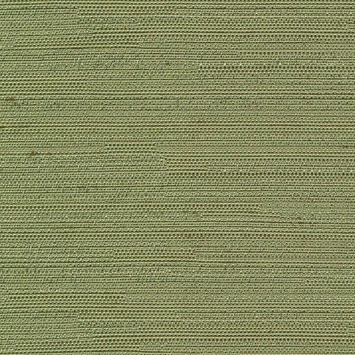 Santorini Leaf by Kasmir Fabric 5013 INDIA 30,000 Wyzenbeek Double Rubs H: N/A, V:N/A 54 - 55 - Fabric Carolina - Kasmir