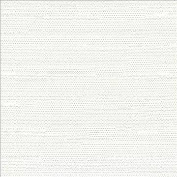 Santorini Off White by Kasmir Fabric 5013 100% Polyester INDIA 30,000 Wyzenbeek Double Rubs H: N/A, V: N/A 54 - 55 - Fabric Carolina - Kasmir