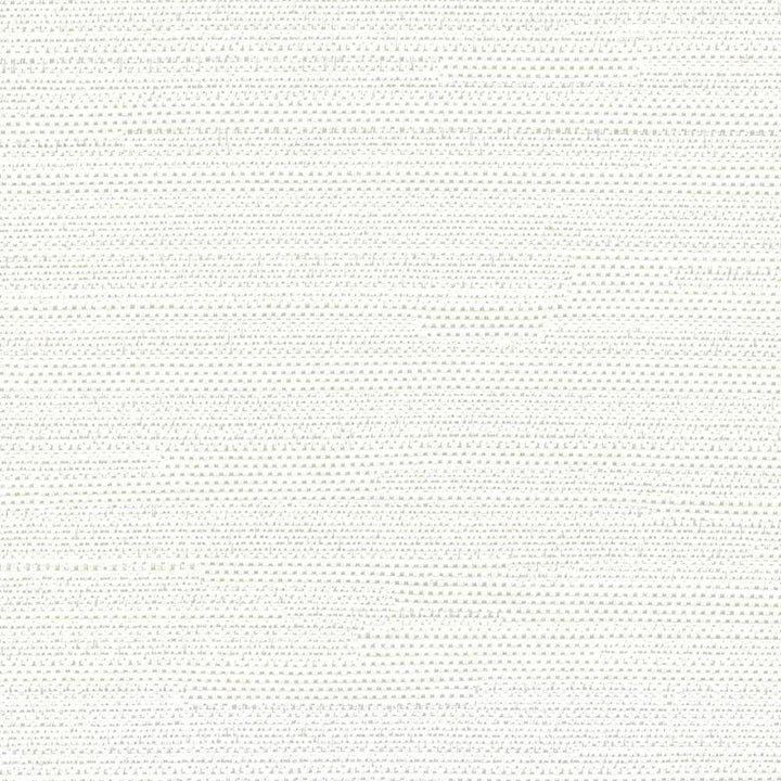 Santorini Off White by Kasmir Fabric 5013 INDIA 30,000 Wyzenbeek Double Rubs H: N/A, V:N/A 54 - 55 - Fabric Carolina - Kasmir
