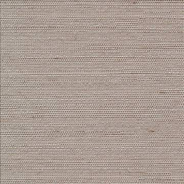 Santorini Pewter by Kasmir Fabric 5013 100% Polyester INDIA 30,000 Wyzenbeek Double Rubs H: N/A, V: N/A 54 - 55 - Fabric Carolina - Kasmir