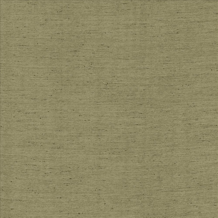Santorini Silver Sage by Kasmir Designer Fabric 5150 100% Polyester
 INDIA 20,000 Wyzenbeek Double Rubs </p><p>Repeat: Horizontal: N/A and Vertical: N/A 54 - Swanky Fabrics -
