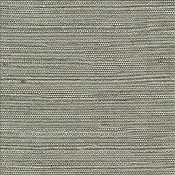 Santorini Silver Sage by Kasmir Fabric 5013 100% Polyester INDIA 30,000 Wyzenbeek Double Rubs H: N/A, V: N/A 54 - 55 - Fabric Carolina - Kasmir