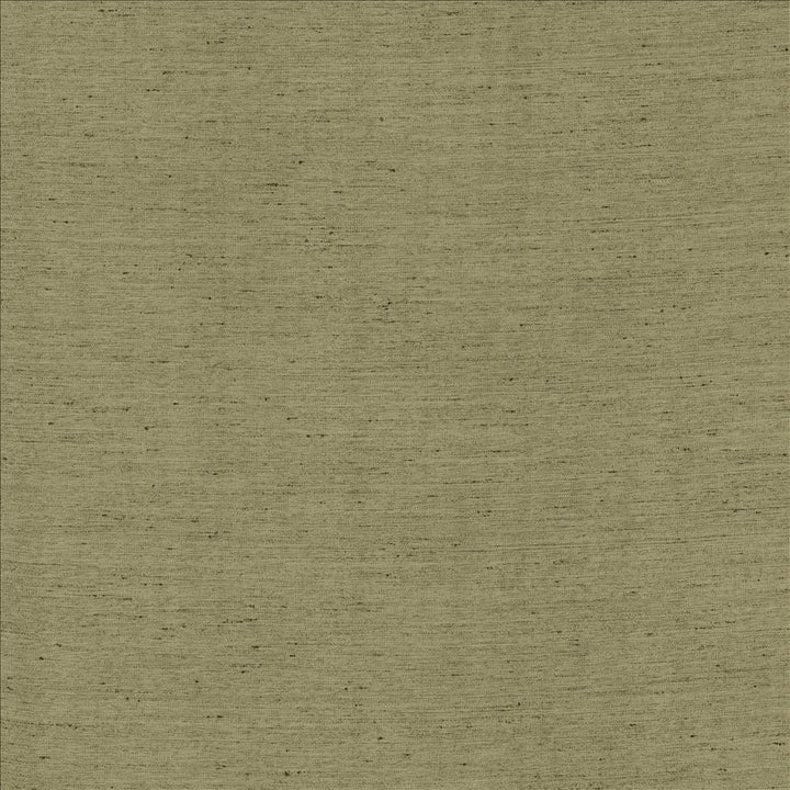 Santorini Silver Sage by Kasmir Fabric 5150 100% Polyester
 INDIA </p><p>Repeat: Horizontal: N/A and Vertical: N/A 54 - Fabric Carolina -