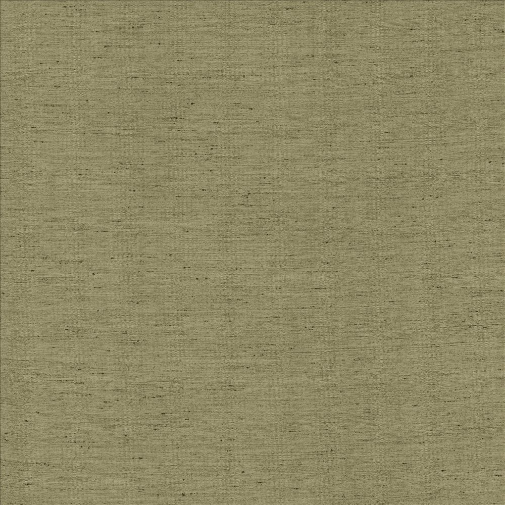 Santorini Silver Sage by Kasmir Fabric 5013 100% Polyester
 INDIA </p><p>Repeat: Horizontal: N/A and Vertical: N/A 54 - Fabric Carolina -