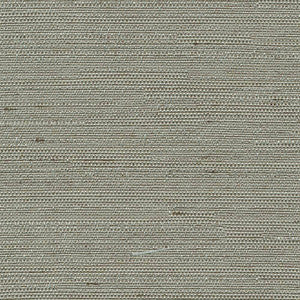 Santorini Silver Sage by Kasmir Fabric