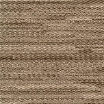 Santorini Stone by Kasmir Fabric 5013 100% Polyester INDIA 30,000 Wyzenbeek Double Rubs H: N/A, V: N/A 54 - 55 - Fabric Carolina - Kasmir