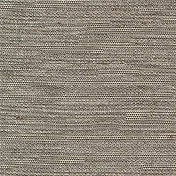 Santorini Taupe by Kasmir Fabric 5013 100% Polyester INDIA 30,000 Wyzenbeek Double Rubs H: N/A, V: N/A 54 - 55 - Fabric Carolina - Kasmir