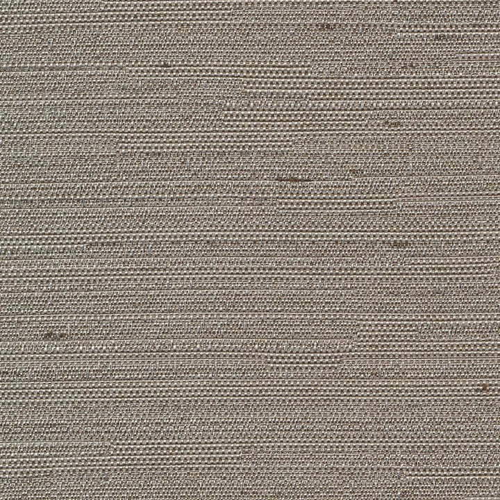 Santorini Taupe by Kasmir Fabric 5013 INDIA 30,000 Wyzenbeek Double Rubs H: N/A, V:N/A 54 - 55 - Fabric Carolina - Kasmir