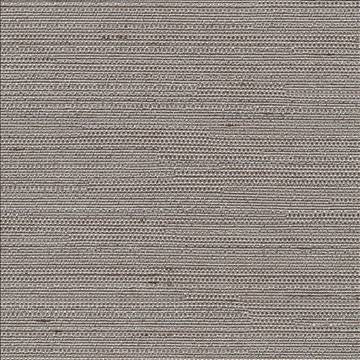 Santorini Viridian Grey by Kasmir Fabric 5013 100% Polyester INDIA 30,000 Wyzenbeek Double Rubs H: N/A, V: N/A 54 - 55 - Fabric Carolina - Kasmir