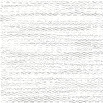 Santorini Winter White by Kasmir Fabric 5013 100% Polyester INDIA 30,000 Wyzenbeek Double Rubs H: N/A, V: N/A 54 - 55 - Fabric Carolina - Kasmir