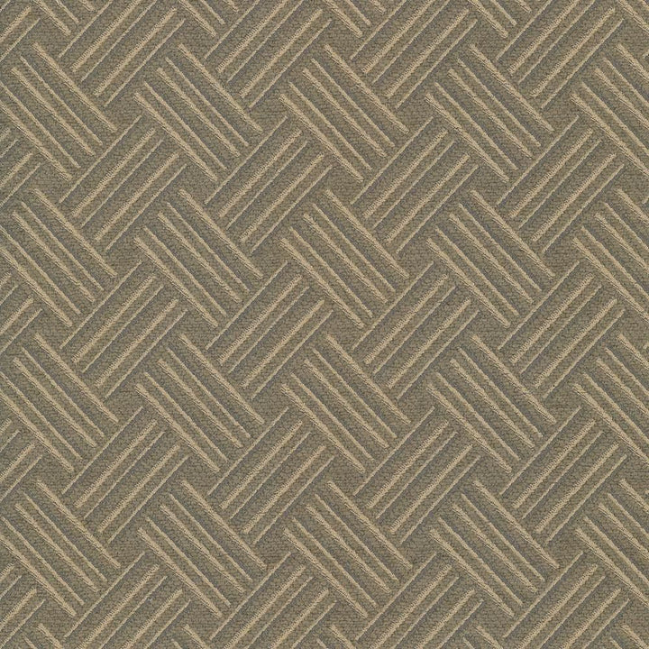 Sapelo Tea by Kasmir Fabric 5066 50% Polyester
50% Rayon
 CHINA 15,000 Wyzenbeek Double Rubs </p><p>Repeat: Horizontal: 2 4/8 inches and Vertical: 2 2/8 inches 58 - Fabric Carolina -