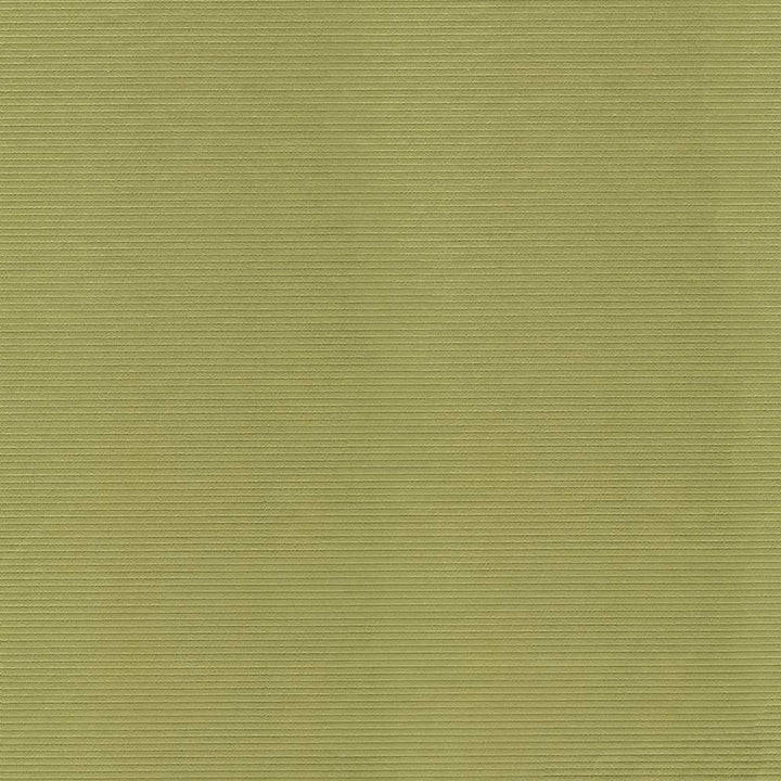 Savoir Faire Apple by Kasmir Fabric 1415 INDIA 13,000 Martindale Cycles H: N/A, V:N/A 55 - Fabric Carolina - Kasmir