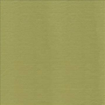 Savoir Faire Apple by Kasmir Fabric 1427 65% Cotton 35% Polyester INDIA 13,000 Martindale Cycles H: N/A, V: N/A 55 - Fabric Carolina - Kasmir