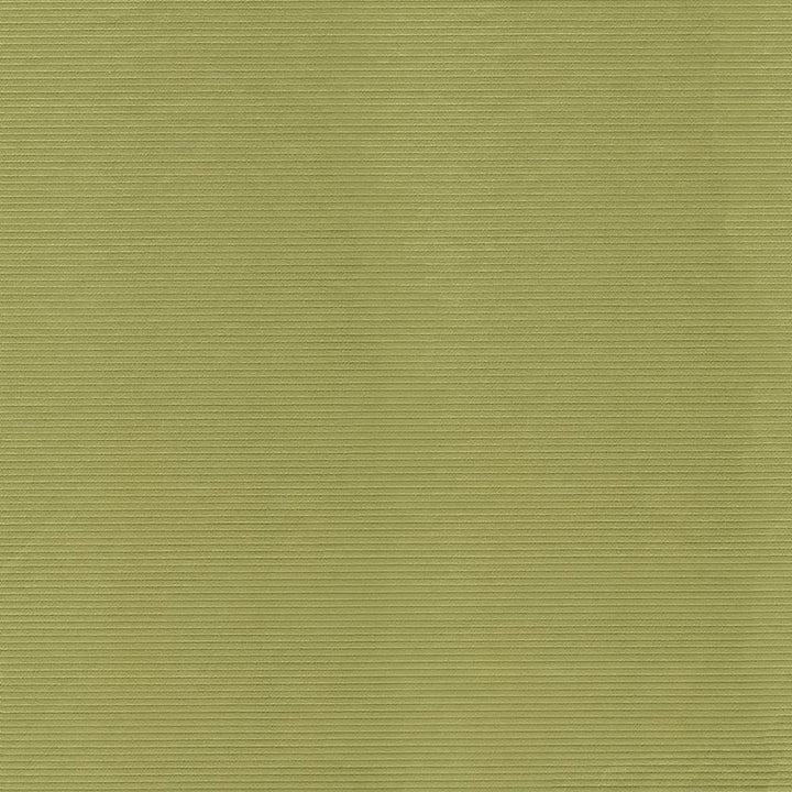 Savoir Faire Apple  by Kasmir Fabric See sample 65% Cotton
35% Polyester
 INDIA 13,000 Martindale Cycles </p><p>Repeat: Horizontal: N/A and Vertical: N/A 55  - Fabric Carolina -