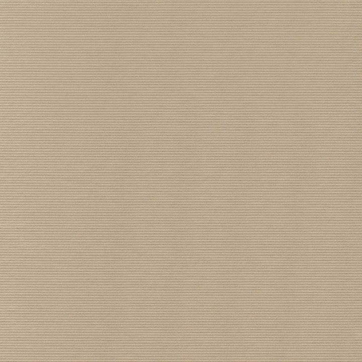 Savoir Faire Champagne by Kasmir Fabric 1425 65% Cotton
35% Polyester
 INDIA </p><p>Repeat: Horizontal: N/A and Vertical: N/A 55 - Fabric Carolina -