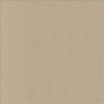 Savoir Faire Champagne by Kasmir Fabric 1425 65% Cotton 35% Polyester INDIA 13,000 Martindale Cycles H: N/A, V: N/A 55 - Fabric Carolina - Kasmir
