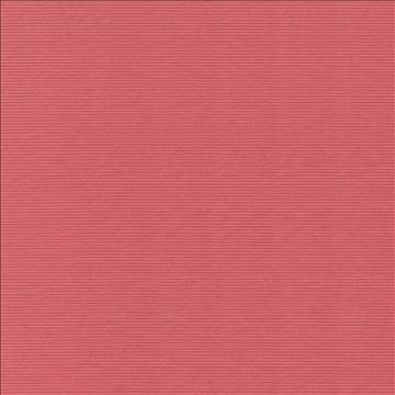 Savoir Faire Coral by Kasmir Fabric 1415 65% Cotton 35% Polyester INDIA 13,000 Martindale Cycles H: N/A, V: N/A 55 - Fabric Carolina - Kasmir