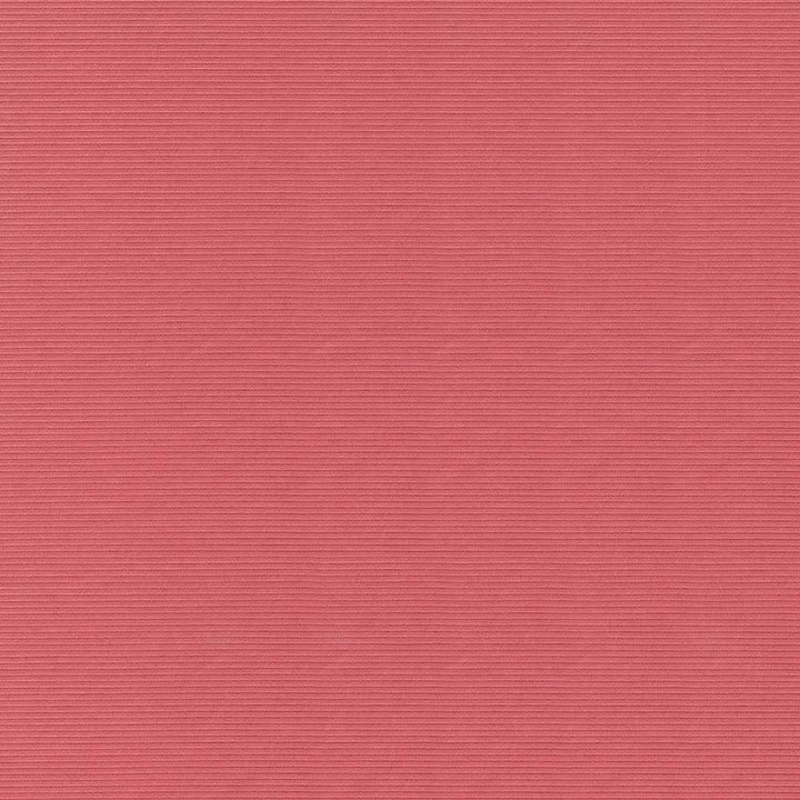 Savoir Faire Coral by Kasmir Fabric 1415 65% Cotton
35% Polyester
 INDIA </p><p>Repeat: Horizontal: N/A and Vertical: N/A 55 - Fabric Carolina -