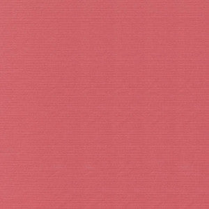 Savoir Faire Coral by Kasmir Fabric