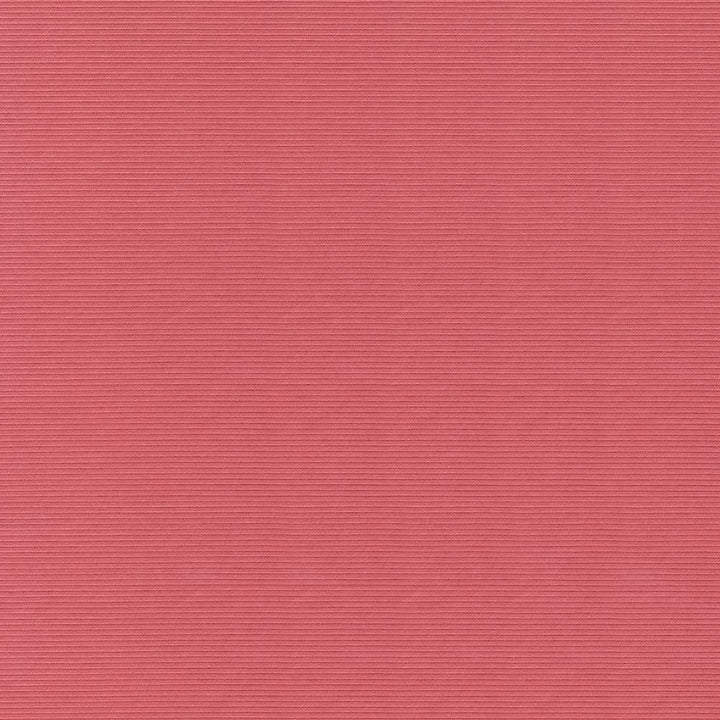 Savoir Faire Coral by Kasmir Fabric 1425 INDIA 13,000 Martindale Cycles H: N/A, V:N/A 55 - Fabric Carolina - Kasmir