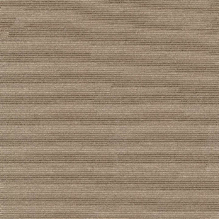 Savoir Faire Driftwood by Kasmir Fabric 1415 65% Cotton
35% Polyester
 INDIA </p><p>Repeat: Horizontal: N/A and Vertical: N/A 55 - Fabric Carolina -