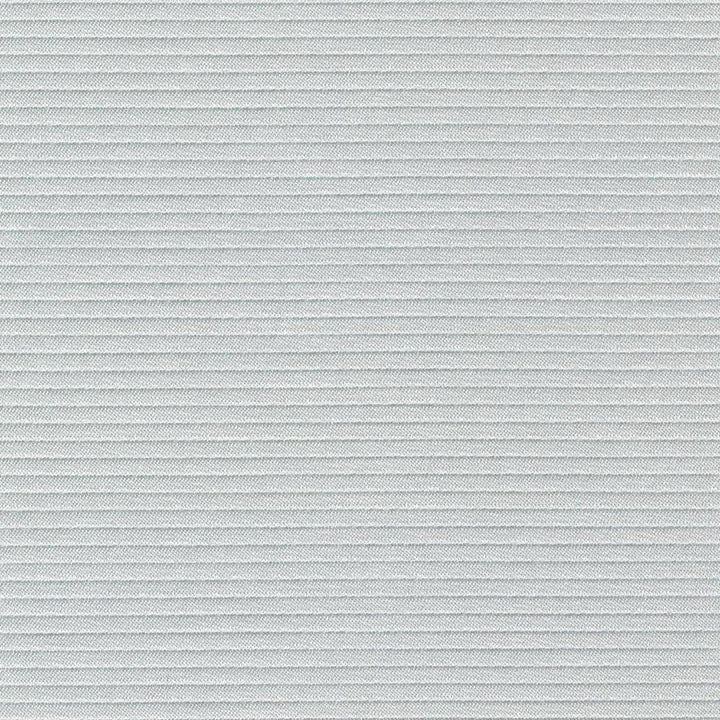Savoir Faire Duck Egg by Kasmir Fabric 1415 INDIA 13,000 Martindale Cycles H: N/A, V:N/A 55 - Fabric Carolina - Kasmir