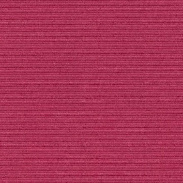 Savoir Faire Fucshia  by Kasmir Fabric See sample 65% Cotton
35% Polyester
 INDIA 13,000 Martindale Cycles </p><p>Repeat: Horizontal: N/A and Vertical: N/A 55  - Fabric Carolina -