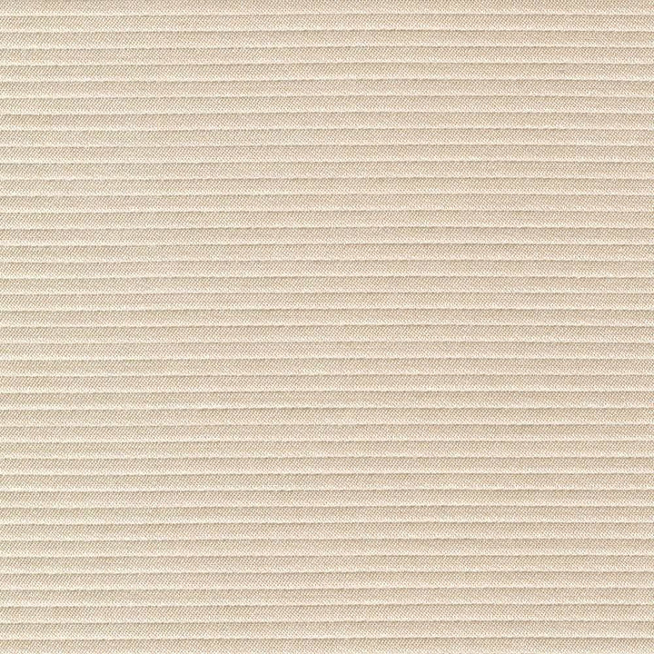 Savoir Faire Ivory by Kasmir Fabric 1415 65% Cotton 35% Polyester INDIA 13,000 Martindale Cycles Horizontal: 0 Inches and Vertical: 0 Inches 55 - Fabric Carolina -