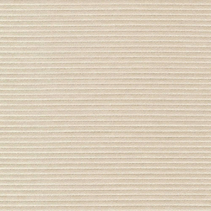 Savoir Faire Ivory by Kasmir Fabric 1415 INDIA 13,000 Martindale Cycles H: N/A, V:N/A 55 - Fabric Carolina - Kasmir